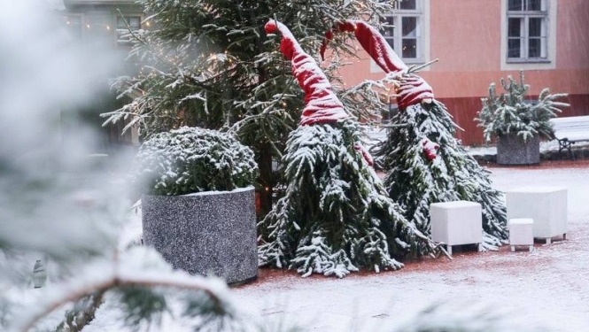 Aicinām Limbažu pilsētas un novada iedzīvotājus, iestādes un uzņēmumus - ikvienu interesentu - iesaistīties kopīga Rūķu ceļa veidošanā