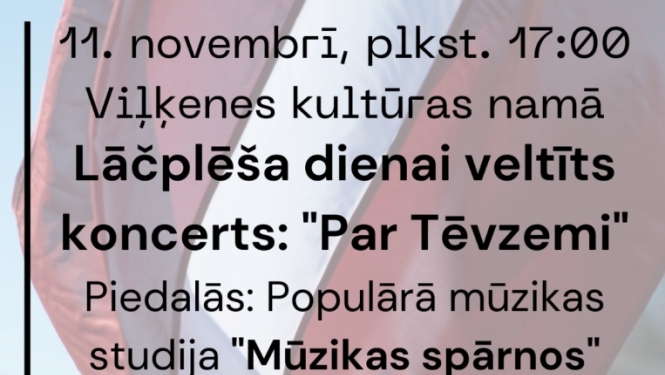 11.novembris