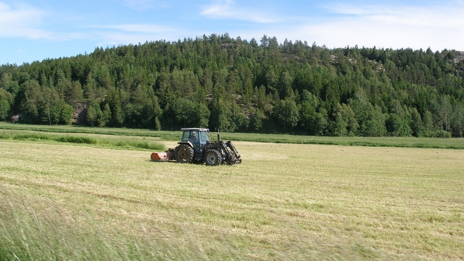 traktors