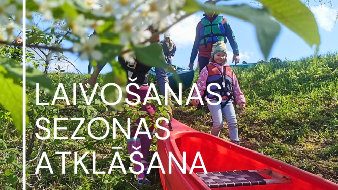laivo