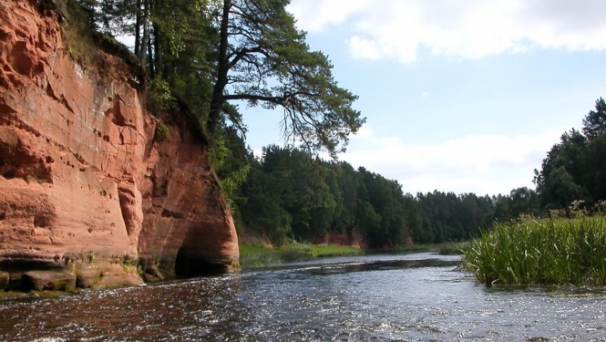 salaca