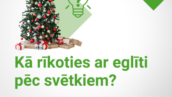 Kā rīkoties ar eglīti pēc svētkiem