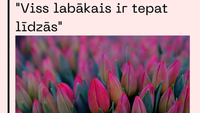 lauvas tn