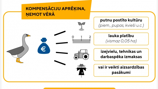 Kompensāciju aprēķināšana par nemedījamo un migrējošo sugu nodarītajiem zaudējumiem turpmāk objektīvāka