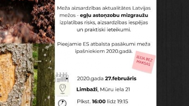 Meža aizsardzības aktualitātes Latvijas mežos – egļu astoņzobu mizgraužu izplatības risks, aizsardzības iespējas un praktiski ieteikumi