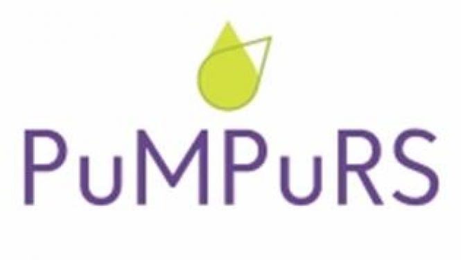 “PuMPuRS” ietvaros apstiprināti divi biedrību projekti