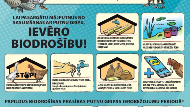 Aicinām ievērot biodrošību, lai pasargātu mājputnus no saslimšanas ar putnu gripu
