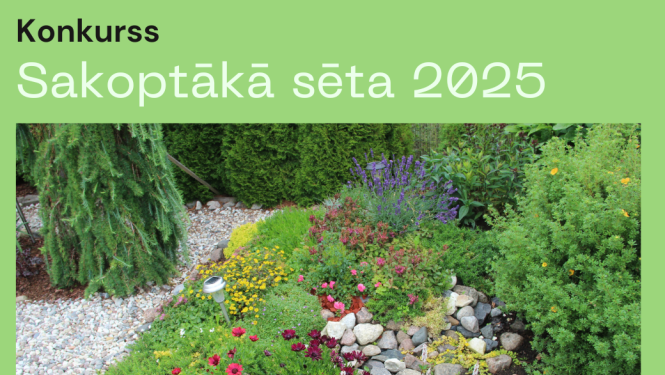 seta2025