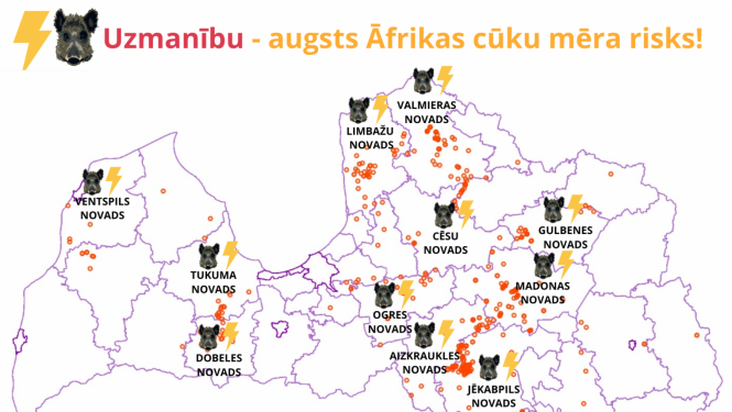 Āfrikas cūku mēris