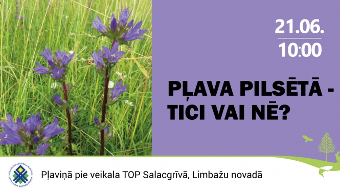 plav1