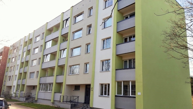 ddzmaja