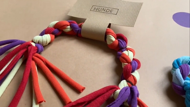 hunde