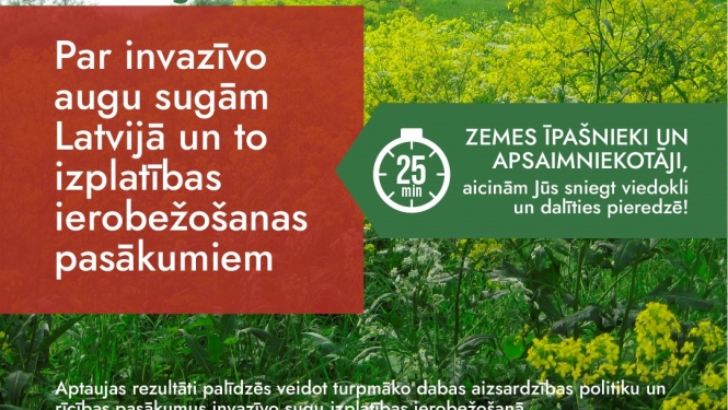 Invazīvo augu sugu aptauja