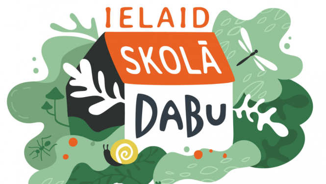skola12