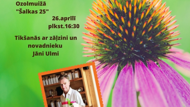ulmis