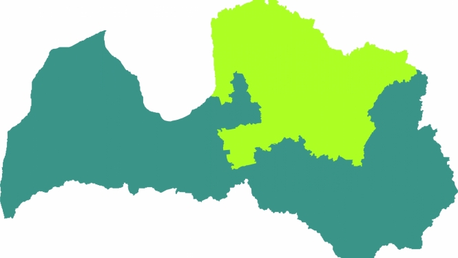 vidzme