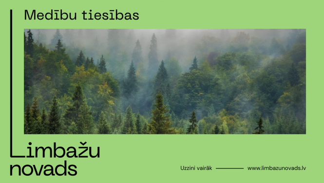 Medibu tiesības