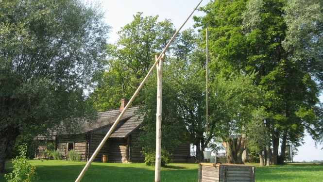 rumbiņi fotomedības