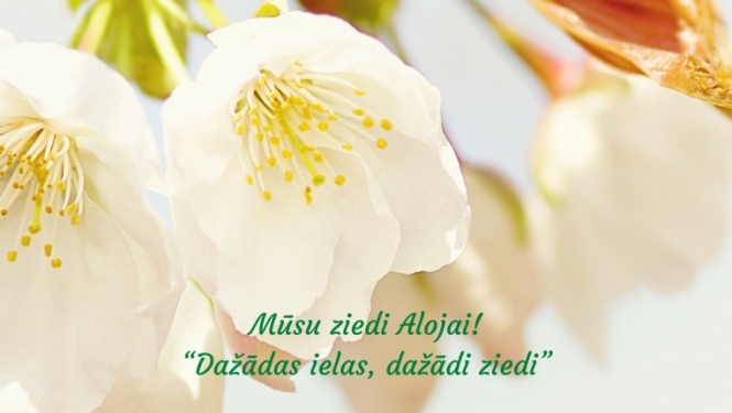 aloja2