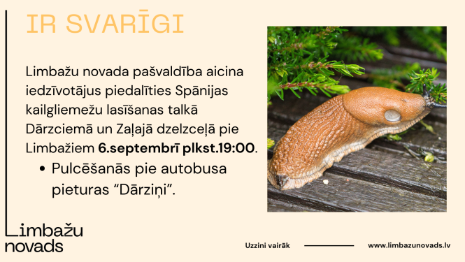 svarigi