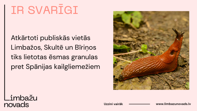 gliemezi