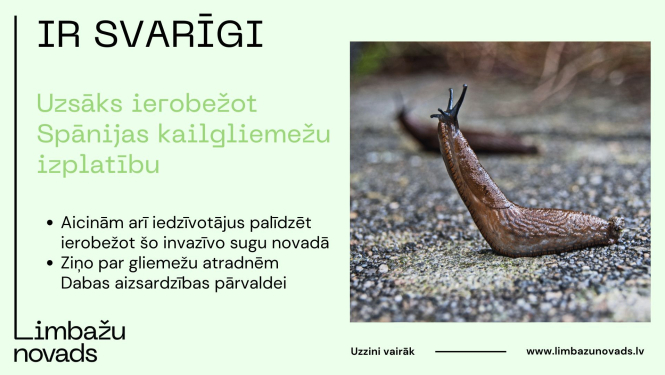 svarigi