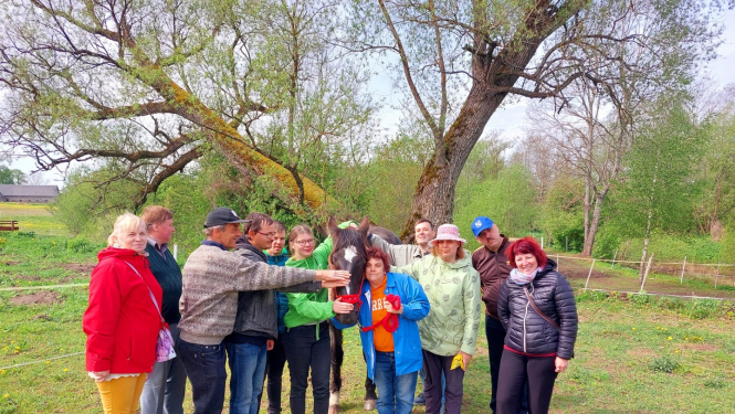 Tikšanās ar zirgiem