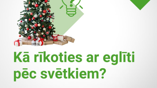 Kā rīkoties ar eglīti pēc svētkiem