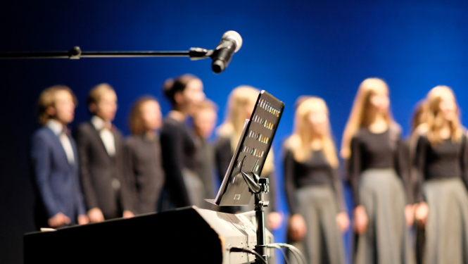 Limbažu apriņķa vokālo, tautas mūzikas instrumentu ansambļu, folkloras kopu un kapelu skate