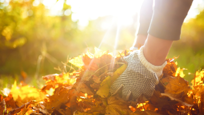 Limbažos darbosies zaļo atkritumu bezmaksas kompostēšanas laukums