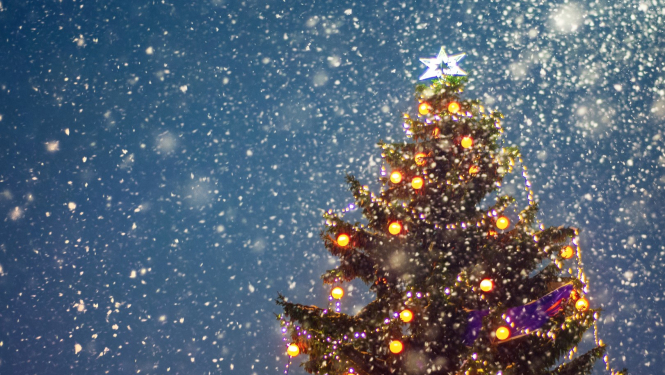 LPRA Limbažu struktūrvienības valde sveic Ziemassvētkos!