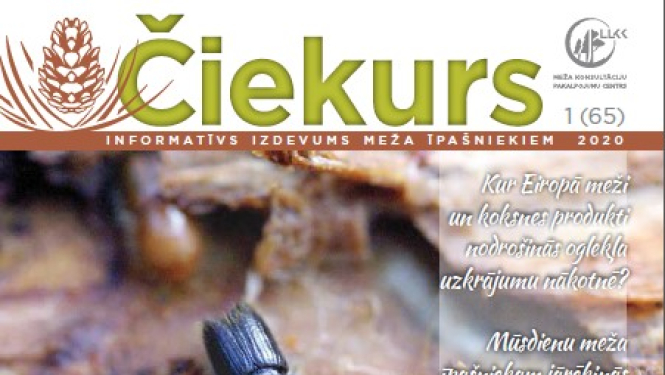 Informatīvais izdevums meža īpašniekiem “Čiekurs”