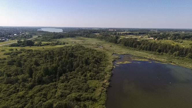 Šogad veiks Limbažu Dūņezera ūdensaugu aizauguma samazināšanu