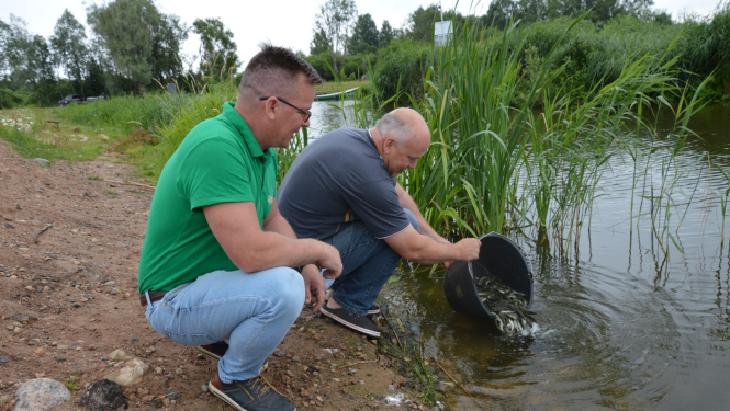 Limbažu Dūņezera zivju resursi papildināti ar 7000 vienvasaras līdaku mazuļiem