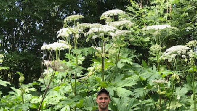 Pašvaldības policija uzsākusi ar latvāni invadēto teritoriju apsekošanu un īpašnieku sodīšanu