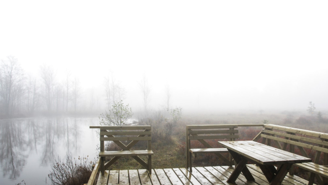 Limbažu novada pašvaldība aicina biedrības, nodibinājumus un reliģiskās organizācijas piedalīties nevalstisko organizāciju projektu konkursā