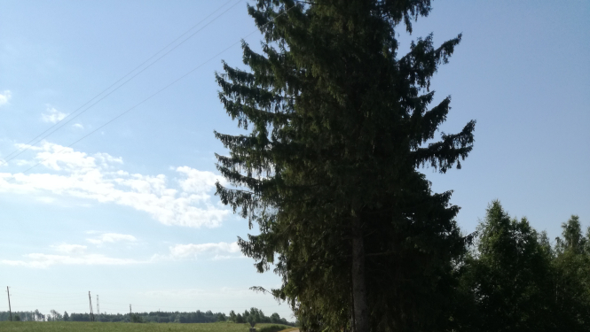 Limbažu pagastā sakārtots autoceļš “Šķērstiņi - Pīlādži”