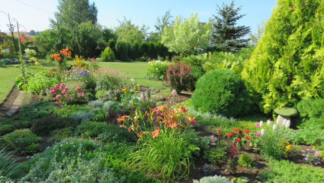“Limbažu novada sakoptākā sēta 2018” konkurss izvērtēts