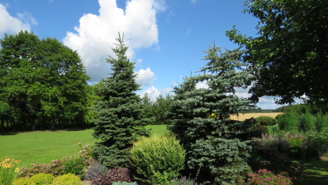 Aicinām pieteikt dalību konkursā “Limbažu novada sakoptākā sēta 2018”