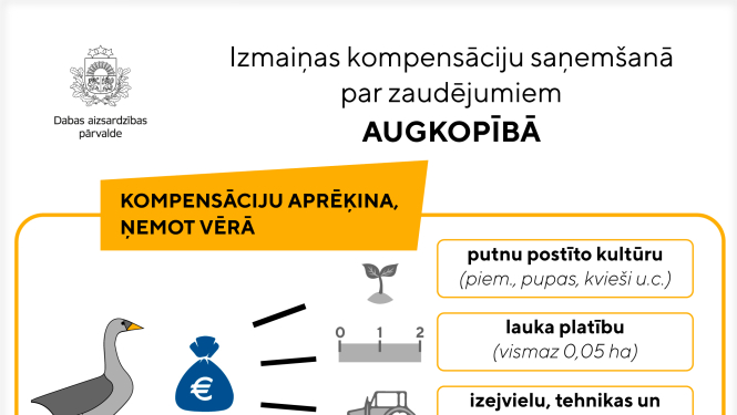 Kompensāciju aprēķināšana par nemedījamo un migrējošo sugu nodarītajiem zaudējumiem turpmāk objektīvāka