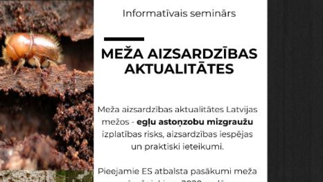 Meža aizsardzības aktualitātes Latvijas mežos – egļu astoņzobu mizgraužu izplatības risks, aizsardzības iespējas un praktiski ieteikumi