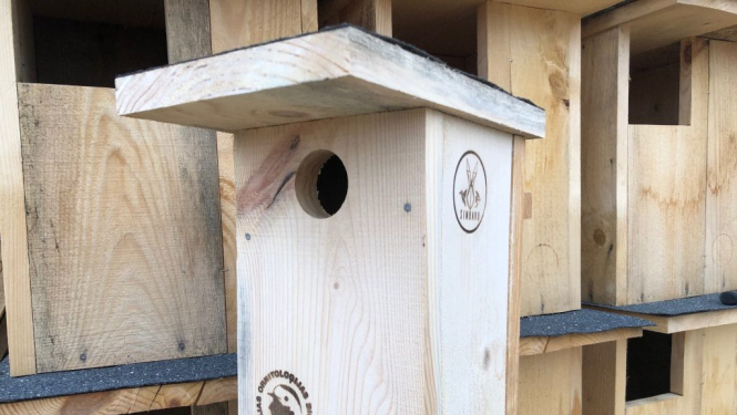 Latvijas Ornitoloģijas biedrība aicina izgatavot putniem piemērotus un drošus putnu būrīšus