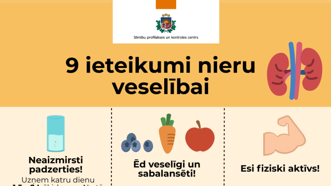 Pasaules nieru diena