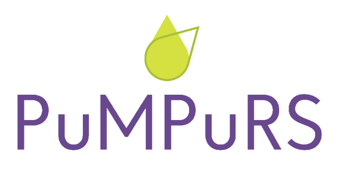 Limbažu novada pašvaldība turpina īstenot projektu PuMPuRS