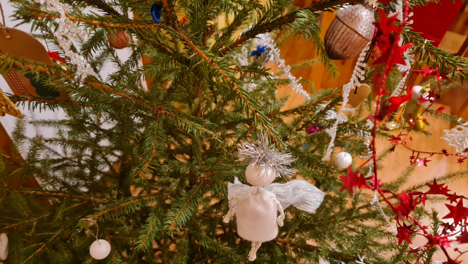 Kā pareizi rīkoties ar eglīti pēc svētkiem