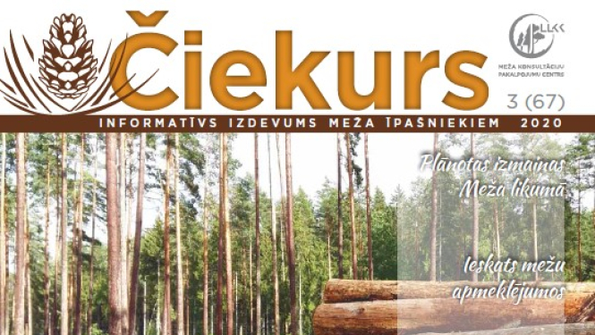 LLKC Mežu konsultāciju pakalpojumu centrs ir sagatavojis un izdevis rudens informatīvo izdevumu meža īpašniekiem „Čiekurs”