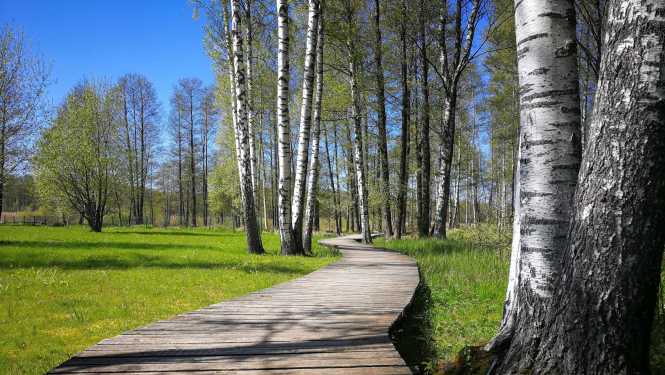 Lielezera dabas taka