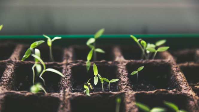 Latvijas lauksaimniecības, mežsaimniecības un zivsaimniecības kamera aicina mazos lauku uzņēmējus apgūt jaunas prasmes un iegūt zināšanas