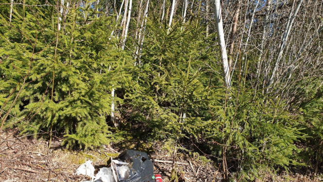 Nelegāla atkritumu izmešana ir atklājama un sodāma