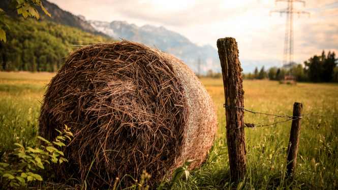 Mazie lauksaimnieki var pieteikties atbalstam